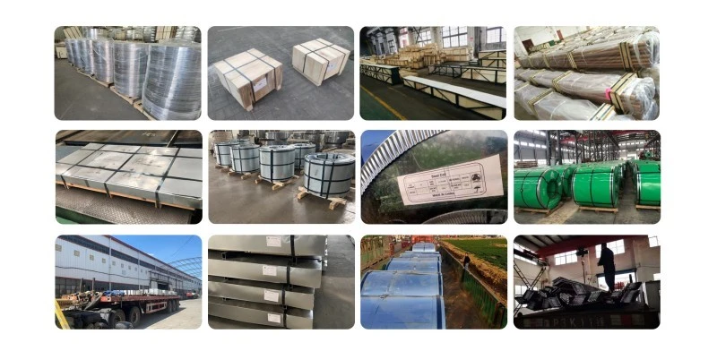 product-800-392 product-800-392